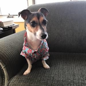 Meet your Posher, Elene